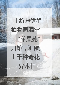 新疆伊犁植物园温室“苹果苑”开馆，汇聚上千种奇花异木