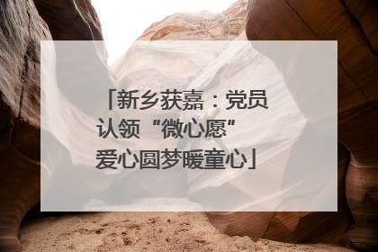 新乡获嘉：党员认领“微心愿” 爱心圆梦暖童心