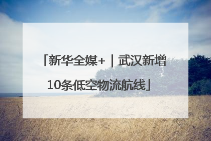 新华全媒+｜武汉新增10条低空物流航线