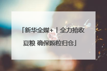 新华全媒+丨全力抢收夏粮 确保颗粒归仓