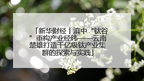新华财经丨滇中“钛谷”重构产业经纬——云南楚雄打造千亿级钛产业集群的探索与实践