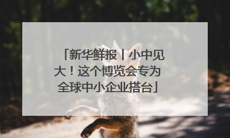 新华鲜报丨小中见大！这个博览会专为全球中小企业搭台