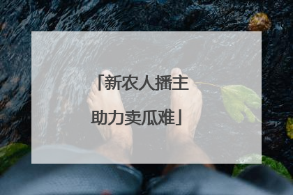 新农人播主 助力卖瓜难