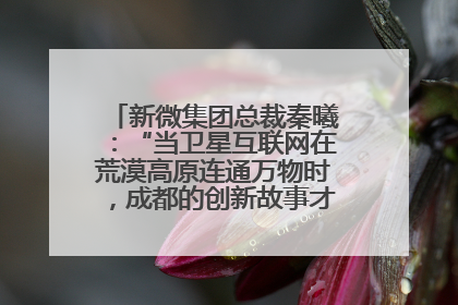 新微集团总裁秦曦：“当卫星互联网在荒漠高原连通万物时，成都的创新故事才真正开始”