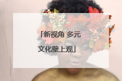 新视角 多元文化壁上观