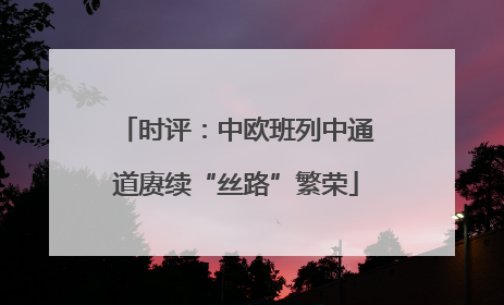 时评：中欧班列中通道赓续“丝路”繁荣