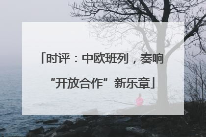 时评：中欧班列，奏响“开放合作”新乐章