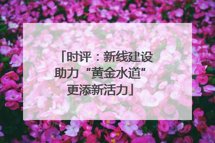 时评：新线建设助力“黄金水道”更添新活力