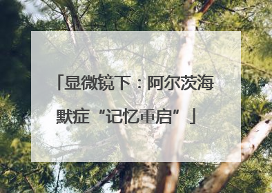 显微镜下：阿尔茨海默症“记忆重启”
