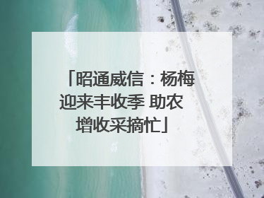 昭通威信：杨梅迎来丰收季 助农增收采摘忙
