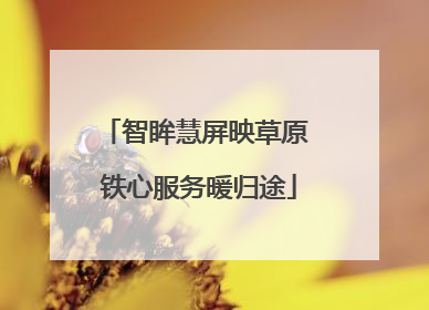 智眸慧屏映草原 铁心服务暖归途