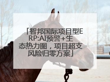 智邦国际项目型ERP:AI预警+生态热力图，项目超支风险归零方案