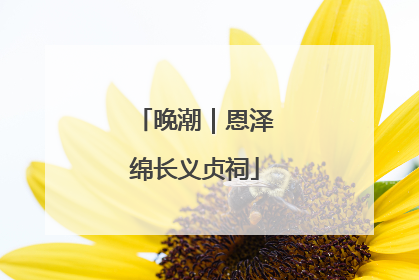 晚潮｜恩泽绵长义贞祠