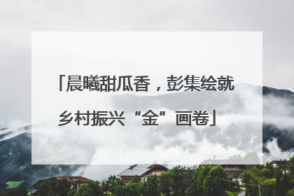 晨曦甜瓜香，彭集绘就乡村振兴“金”画卷