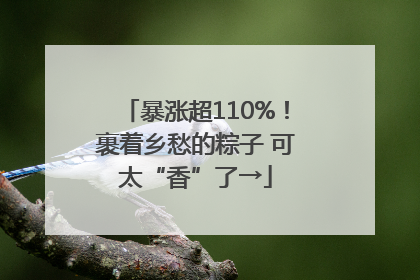 暴涨超110%！裹着乡愁的粽子 可太“香”了→