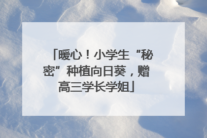 暖心！小学生“秘密”种植向日葵，赠高三学长学姐