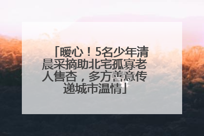 暖心！5名少年清晨采摘助北宅孤寡老人售杏，多方善意传递城市温情