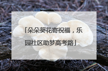 朵朵葵花寄祝福，乐园社区助梦高考路