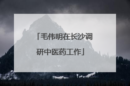 毛伟明在长沙调研中医药工作