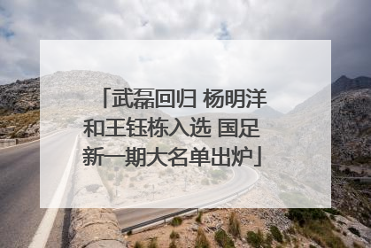 武磊回归 杨明洋和王钰栋入选 国足新一期大名单出炉