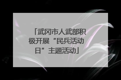 武冈市人武部积极开展“民兵活动日”主题活动