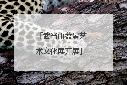 武当山盆景艺术文化展开展