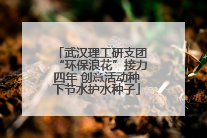 武汉理工研支团“环保浪花”接力四年 创意活动种下节水护水种子