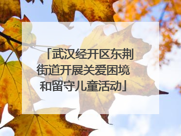 武汉经开区东荆街道开展关爱困境和留守儿童活动