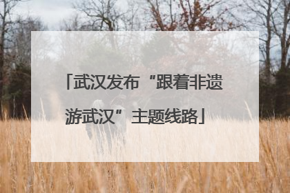 武汉发布“跟着非遗游武汉”主题线路