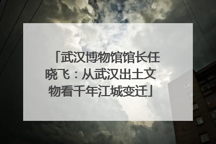 武汉博物馆馆长任晓飞：从武汉出土文物看千年江城变迁