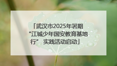 武汉市2025年暑期“江城少年国安教育基地行” 实践活动启动