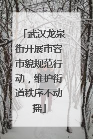 武汉龙泉街开展市容市貌规范行动，维护街道秩序不动摇
