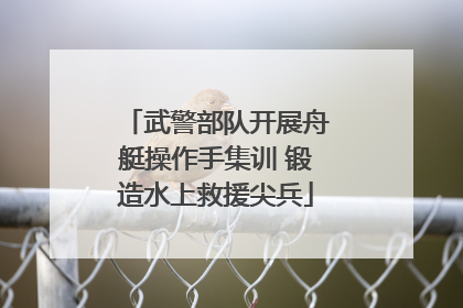 武警部队开展舟艇操作手集训 锻造水上救援尖兵