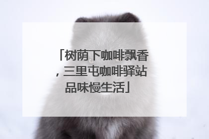 树荫下咖啡飘香，三里屯咖啡驿站品味慢生活