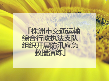 株洲市交通运输综合行政执法支队组织开展防汛应急救援演练
