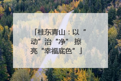 桂东青山：以“动”治“净” 擦亮“幸福底色”