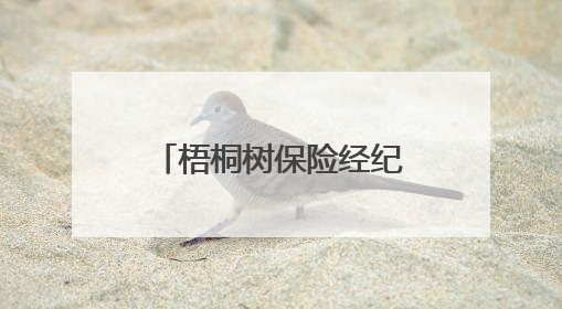 梧桐树保险经纪“桐星守护”关爱活动圆满举行