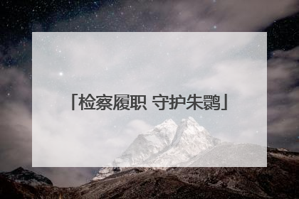 检察履职 守护朱鹮