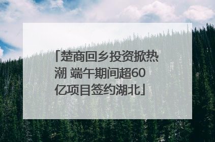 楚商回乡投资掀热潮 端午期间超60亿项目签约湖北