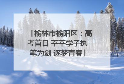 榆林市榆阳区：高考首日 莘莘学子执笔为剑 逐梦青春