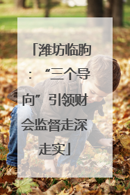 潍坊临朐：“三个导向”引领财会监督走深走实