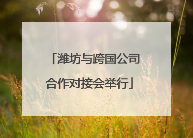潍坊与跨国公司合作对接会举行