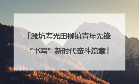 潍坊寿光田柳镇青年先锋“书写”新时代奋斗篇章