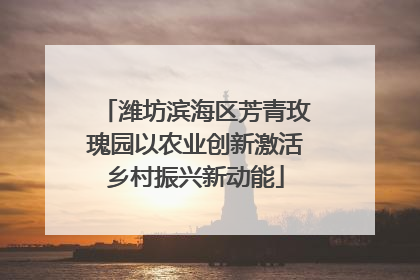 潍坊滨海区芳青玫瑰园以农业创新激活乡村振兴新动能