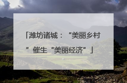 潍坊诸城：“美丽乡村”催生“美丽经济”