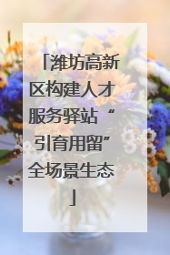 潍坊高新区构建人才服务驿站“引育用留”全场景生态