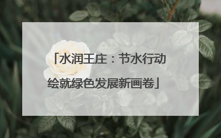 水润王庄：节水行动绘就绿色发展新画卷