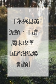永兴县黄泥镇：干群周末攻坚 国道沿线焕新颜