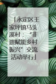 永定区王家坪镇马头溪村：“非遗赋能乡村振兴”交流活动举行