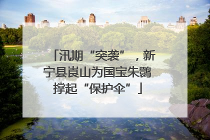 汛期“突袭”，新宁县崀山为国宝朱鹮撑起“保护伞”